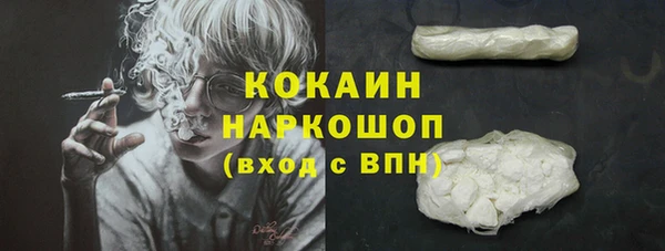 гашик Нея
