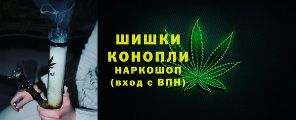 гашик Нея