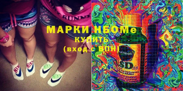 гашик Нея