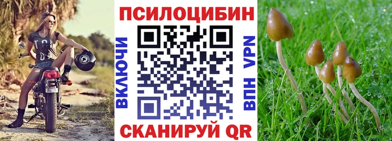 MEGA онион  это состав  Псилоцибиновые грибы Psilocybine cubensis  купить закладку  Рыльск 